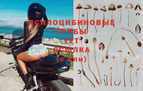 мескалин Абдулино