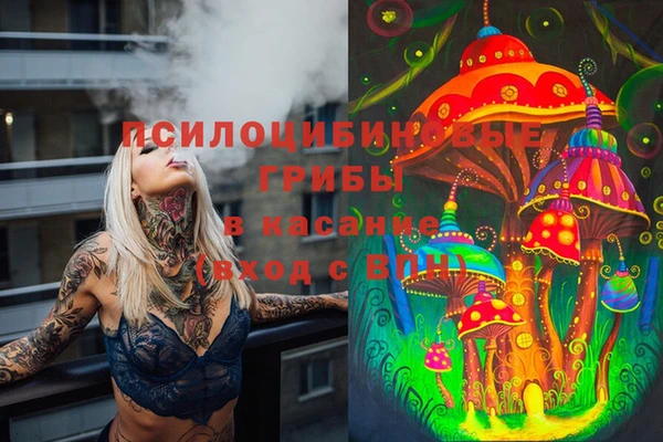 марки lsd Алексеевка