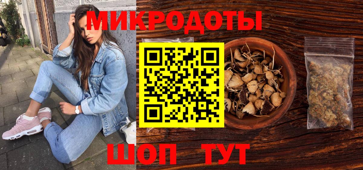 Псилоцибиновые грибы Psilocybine cubensis Подольск