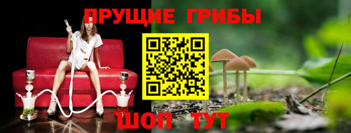 Подольск  что такое наркотик  Псилоцибиновые грибы мухоморы  Вход с VPN  Псилоцибиновые грибы ЛСД 